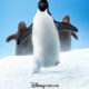 Penguins – APRIL 17th 2019