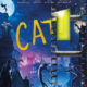 Cats  –  DECEMBER 20th 2019